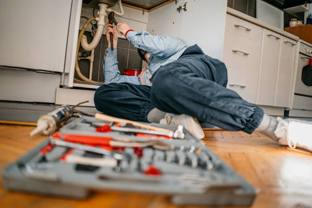 Best Sprinkler Systems  in Ladue, MO