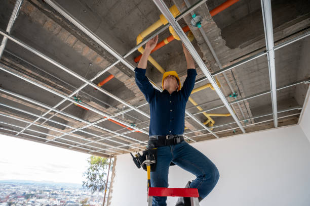 Best Plumbing Services Near Me  in Ladue, MO