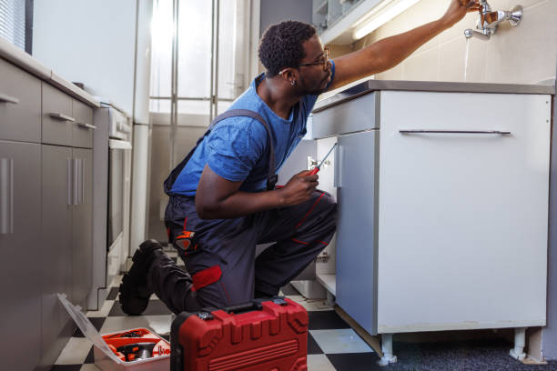 Best Residential Plumbing Services  in Ladue, MO